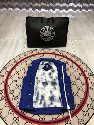 Canada Goose Puffer Vest in White with Stand Collar